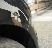 Price Guide Dent Type Picture 3